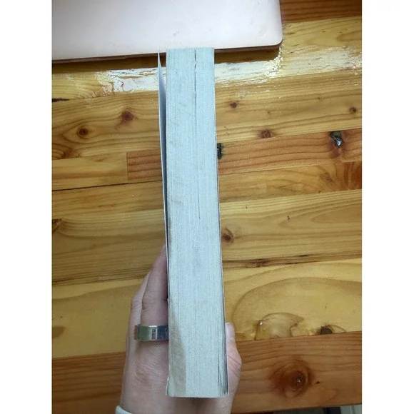 Daydreamer by Hannah Grace – Paperback – Great Condition - Picture 2 of 4